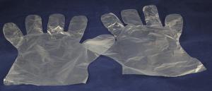 Food Service Gloves