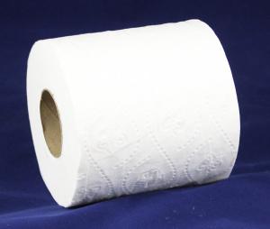 2-ply Economy Standard Roll Toilet Paper