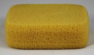 Quick Absorbing Sponge